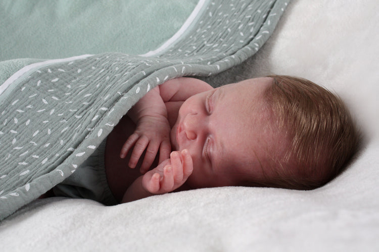 Petite plume - Couverture