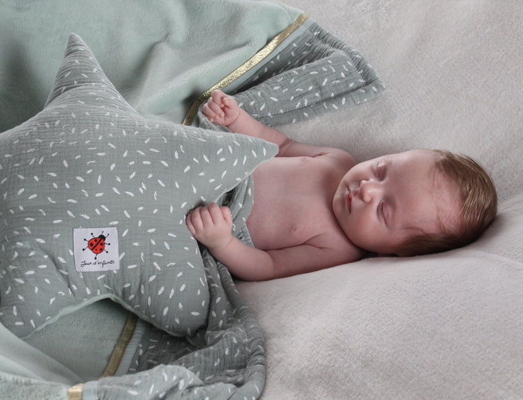 Petite plume - Coussin étoile