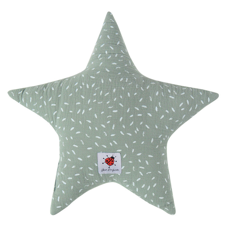Petite plume - Coussin étoile