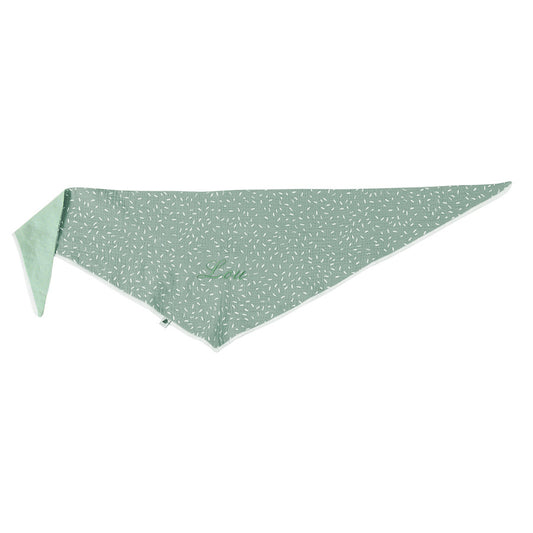 Petite plume - Grand foulard